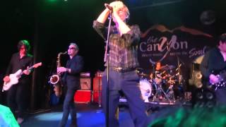 The Psychedelic Furs- Soap Commercial- Live- Canyon Club