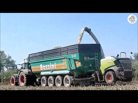 Claas Jaguar 980 Type 498 & New Bossini RA 400 - ANSELMI - Corn silage 2020