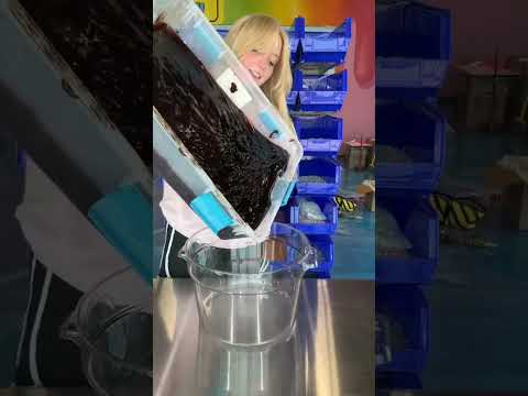 Dunkin Donuts é a nova marca de café favorita de Peachybbie!