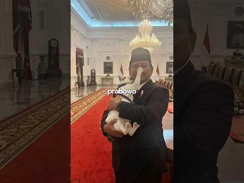 Bobby Kartanegara, Kucing presiden?