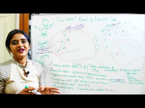 NEUROANATOMY-CEREBRUM-PART 4-FUNCTIONAL AREAS(FRONTAL LOBE)-DR ROSE JOSE MD DNB