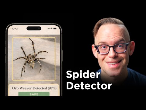 Can Codex Build a Spider Detector App? (Live) thumbnail