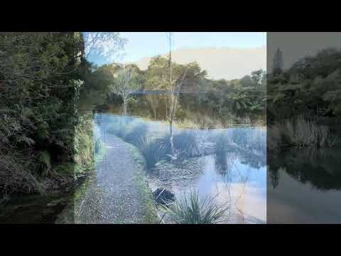 Rotorua is a geothermal wonderland with bubbling mud pools, clouds of steam, and natural hot springs