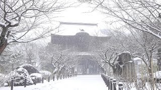 preview picture of video '大雪の鎌倉 2014年2月8日 (A Heavy snow in Kamakura city, 8Feb2014)'