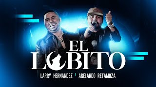 El Lobito (En Vivo) Lyrics English Translation