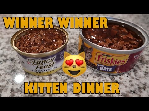FRISKIES OR FANCY FEAST? OUR CATS DECIDE!