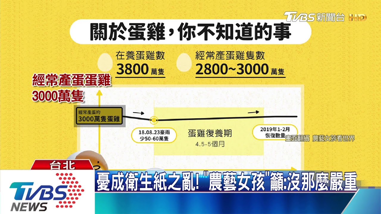 別急著搶蛋!產量「春節前」恢復 價格將回穩