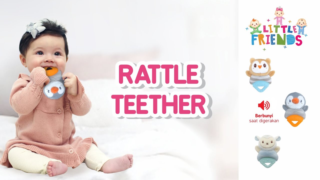 Rattle Teether Little Friends