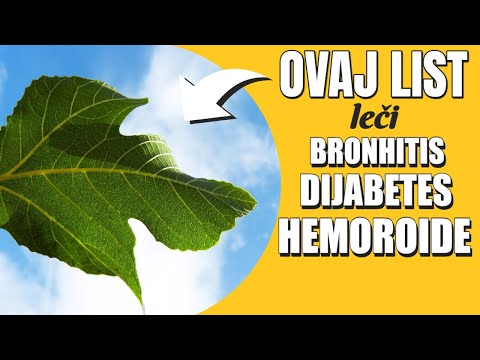 Čaj od lista smokve kao lek za dijabetes - recept, iskustva