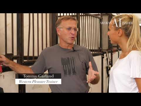 NEW YORK 2017 | ARABIAN INSIDER | #EPISODE PRESHOW