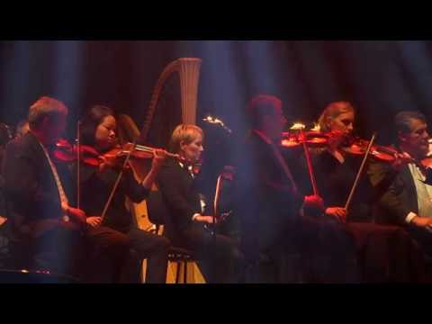 The Rose - Karl M. Sibelius