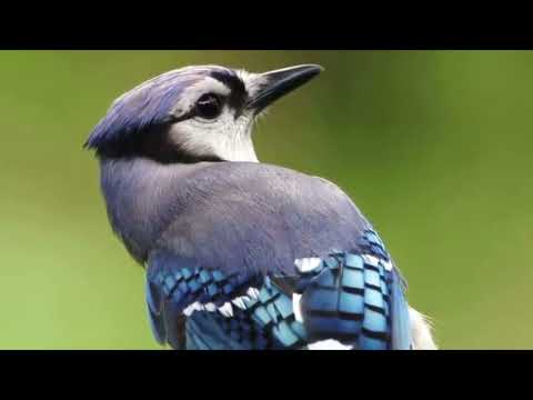 OPwekking 829 Wij zoeken U