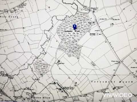 Chelmsley Wood Over the Time