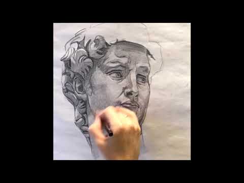 A portrait study of Michelangelo's David