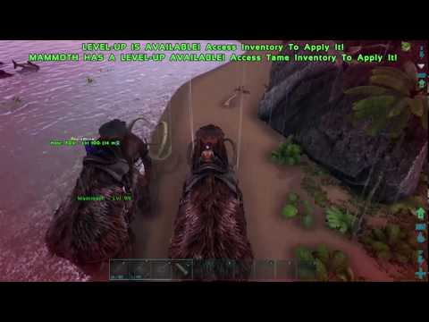 Mighty Mammoth Race  Ark Survival Evolved