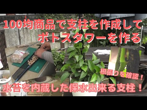自分だけの観葉植物の支柱を作ろう ライフスタイル