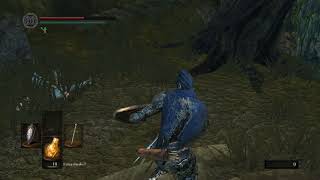 Hornet ring: unique riposte and parry animations showcase [Dark Souls Remastered]