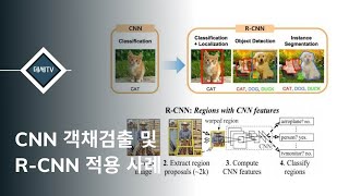 CNN(합성곱신경망) 객체검출 및 R-CNN 적용 사례