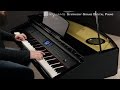Download Williams Symphony Digital Piano Mp3 Mp4 320kbps