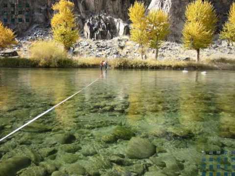 Zorigoo - Altain orgil (Torguud huumii)