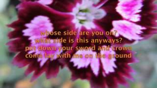 Moth&#39;s Wings by Passion Pit (with lyrics)