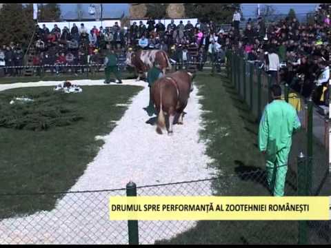 Realitati si Perspective 13 10 2013 Semtest 2