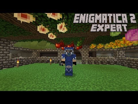 Agri-Automation Part 1  : Enigmatica 2 Expert Lp Ep #10 Minecraft 1.12
