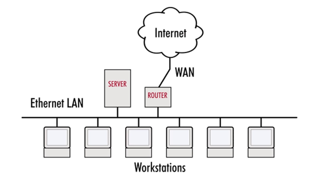 POWER POINT PRESENTATION NETWORKING.mp4