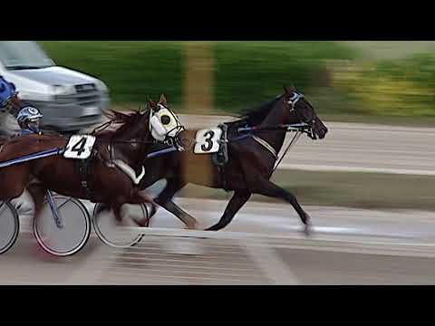 Aversa trotto 23 Settembre 2020 - 3° Corsa