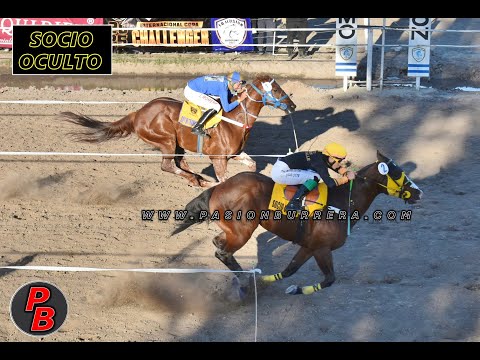 SOCIO OCULTO: CLASICO REVANCHA - HIPODROMO LA ILUSION, VERA (06-09-2025)