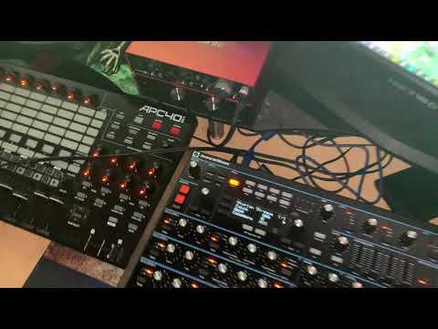 The big Novation Peak switch on - Shots At Two