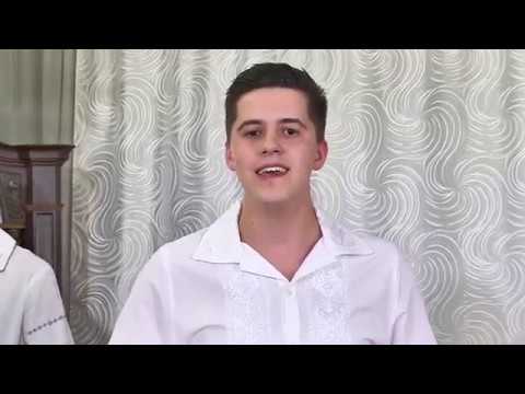 Dani Soava - Inimile noastre intr-una vor bace