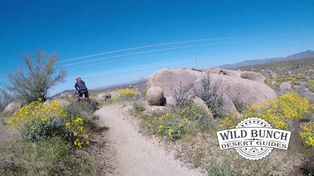 Wild Bunch Desert Guides in the McDowell Sonoran Preserve, Scottsdale, AZ - Part 2