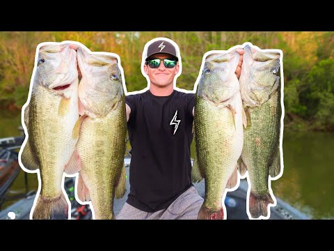 RECORD DAY OF BASS FISHING (UNBELIEVABLE)