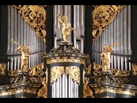 Sietze de Vries - Martini-orgelvespers, LvK 291