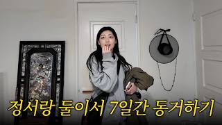 예지 없이 7일동안 잘 지내보자...