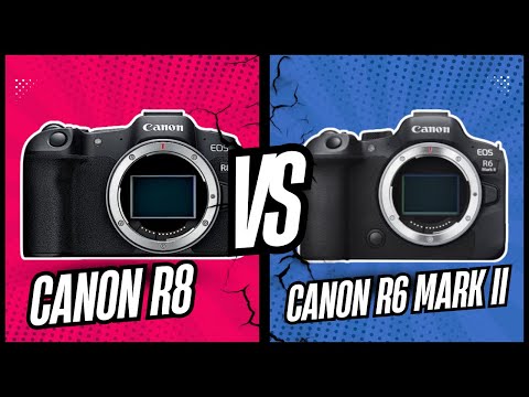Canon R8 vs R6 Mark II: Which Camera Wins in 2026?