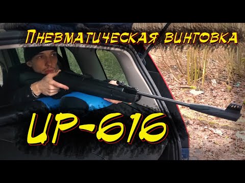 Пневматическая винтовка ИР-616. Обзор/отстрел/выводы.
