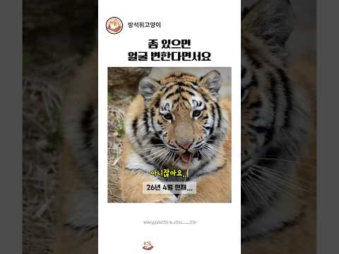 설호 얼굴 변할까봐 걱정했는데 안 해도 되는 이유