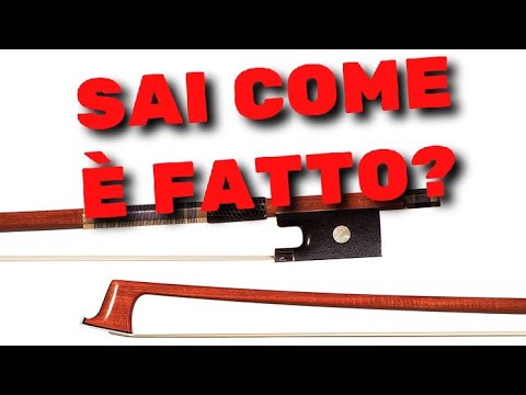 COME È FATTO L'ARCHETTO? 🎻