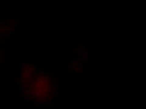 Anish Kapoor's Laviathan Monumenta 2011 - WOAH YOU GO INSIDE - Part III