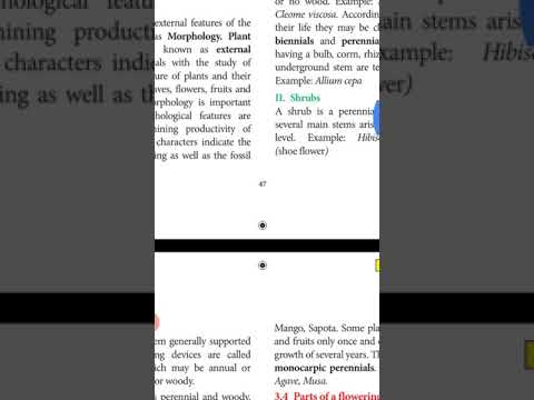 Vegetative morphology  - 1