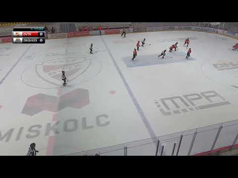 U12 DVTK Jegesmedvék B - Zempléni Hiúzok 2022  02  20 összefoglaló
