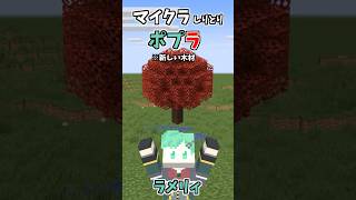 マイクラしりとり！ポプラ編【廃キャンプ】【定規】【そらねこ】【マインクラフト】【マイクラアニメ】