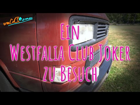 Ein original Westfalia Club Joker zu Besuch in den heiligen Hallen 😇