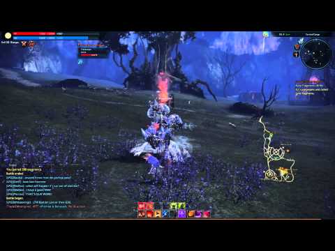 Collision Detection demonstration of latency - TERA Online NA Closed Beta Test 1 [1080p]
