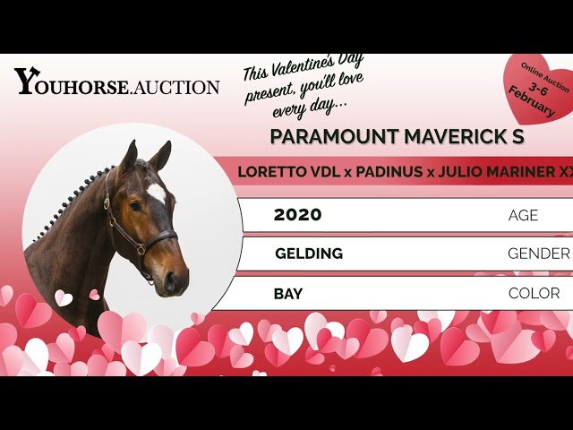 Paramount Maverick S