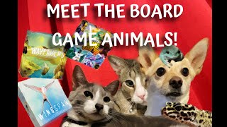 S1 E11 Meet The Board Game Animals!