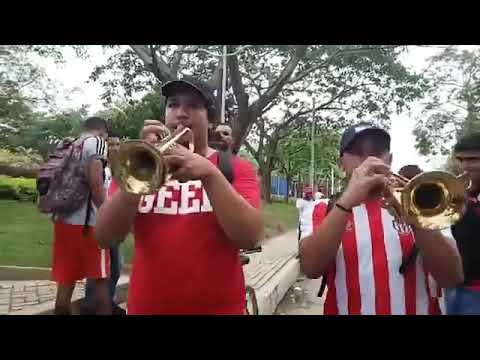 "Rumbo a Bogotá - La previa de la final | La banda de los Kuervos" Barra: La Banda de Los Kuervos • Club: Junior de Barranquilla