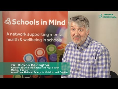 The Adolescent Brain: Practical Advice for Schools Video